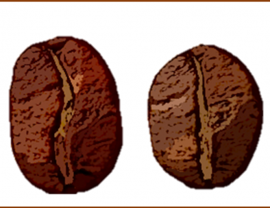 4 Main Coffee Beans: Guide to Choose the BEST